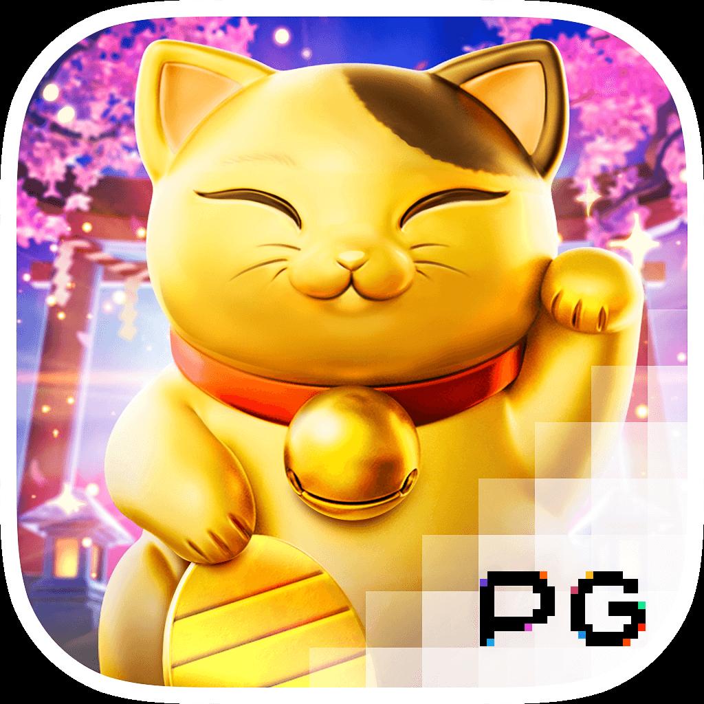 njoypg เว็บคาสิโนออนไลน์ทันสมัย รวมเกมสล็อตยอดนิยม เล่นง่ายจ่ายจริง