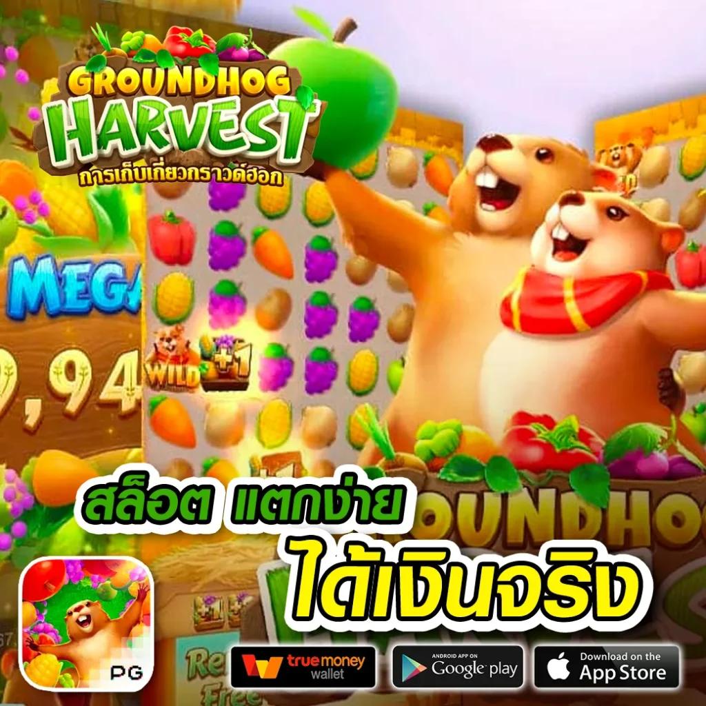 แทงหวยออนไลน์ เว็บใหญ่ จ่ายเต็ม ระบบเร็วทันใจ เล่นง่ายจบในที่เดียว